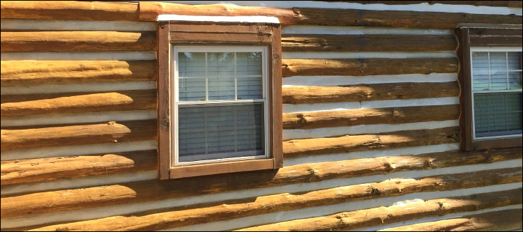 Log Home Whole Log Replacement  Craven County,  North Carolina